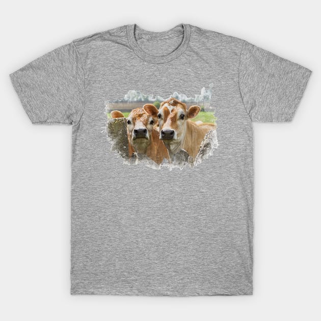 Curious Cows T-Shirt by Jane Stanley Photography